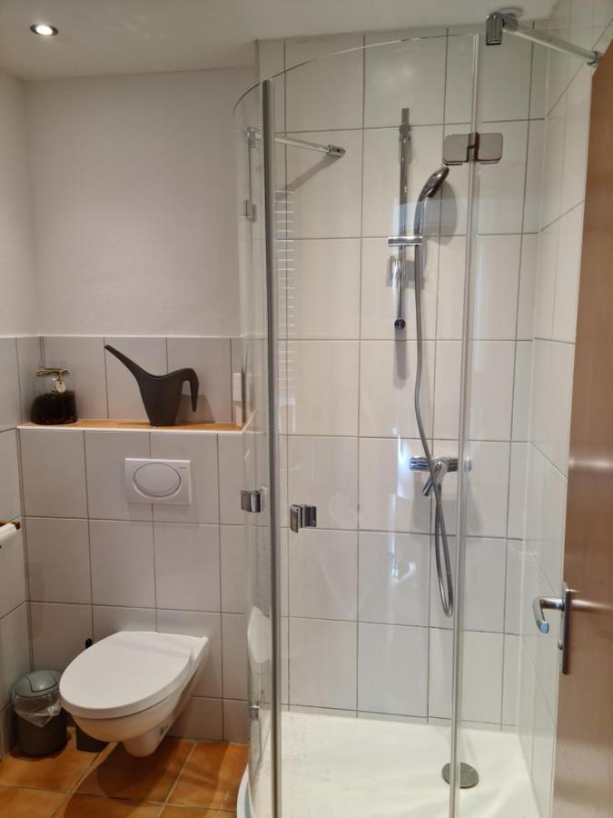 Lichtdurchflutetes - Mainwiesen Accommodatie bij particulieren *