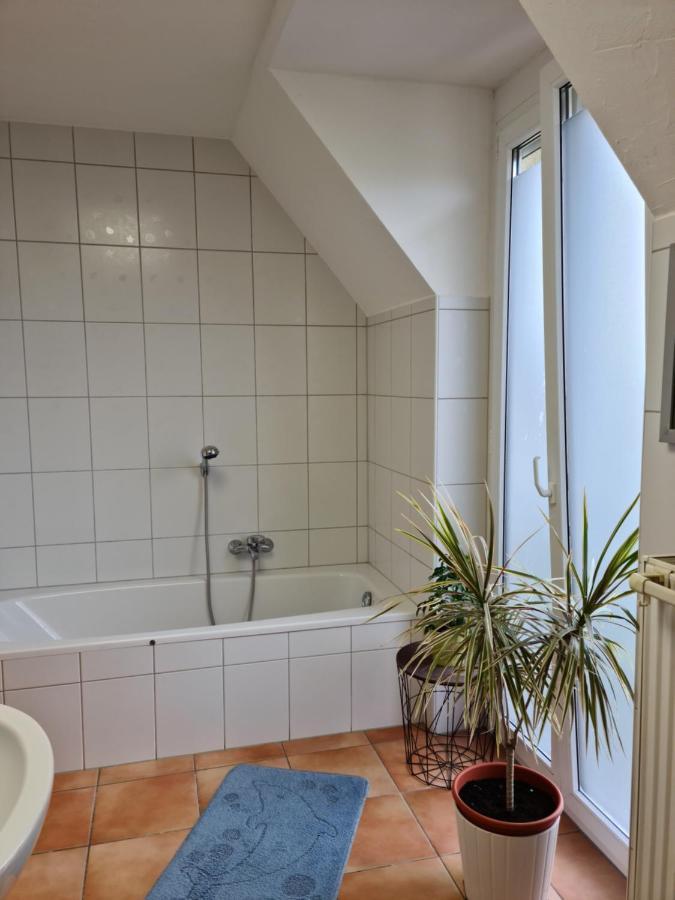 Accommodatie bij particulieren Lichtdurchflutetes - Mainwiesen *