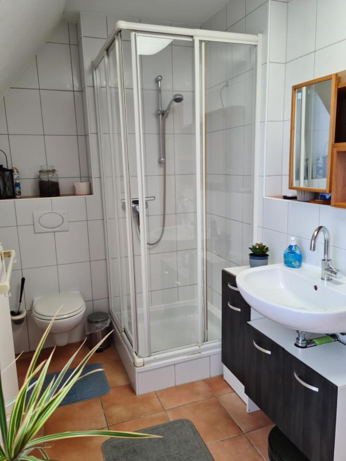 Lichtdurchflutetes - Mainwiesen Accommodatie bij particulieren Waldbuttelbrunn