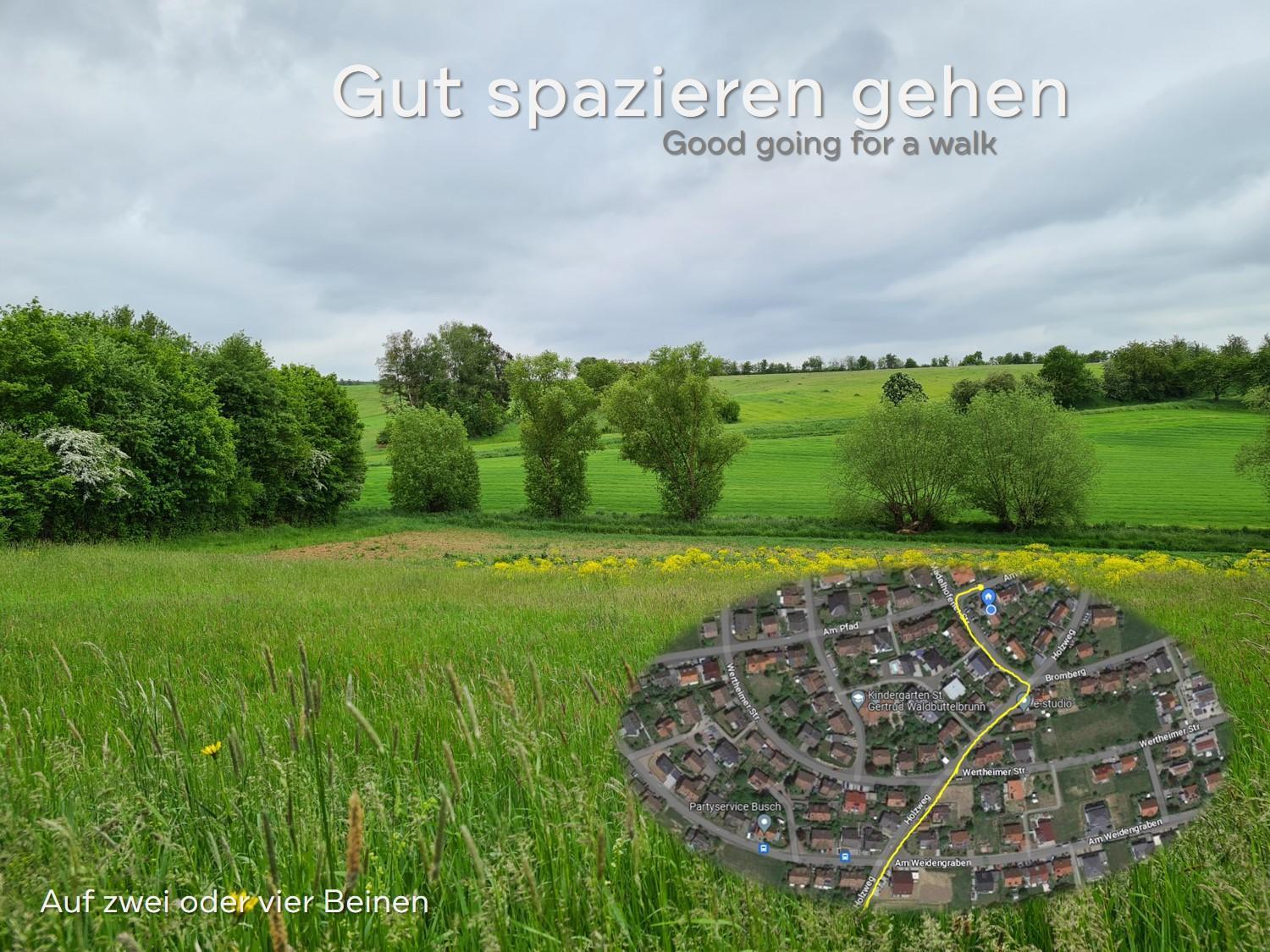 Lichtdurchflutetes - Mainwiesen Accommodatie bij particulieren
