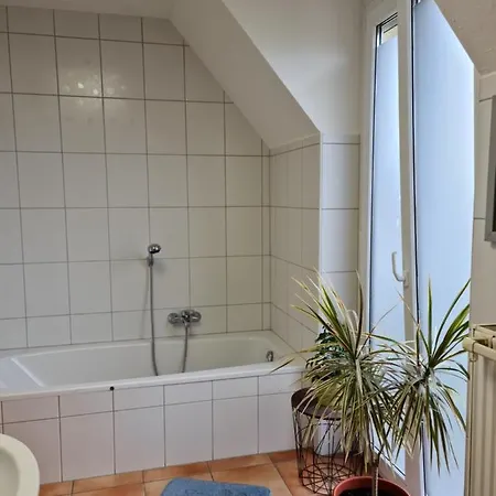 Lichtdurchflutetes Zimmer - Mainwiesen Waldbuttelbrunn Extérieur photo