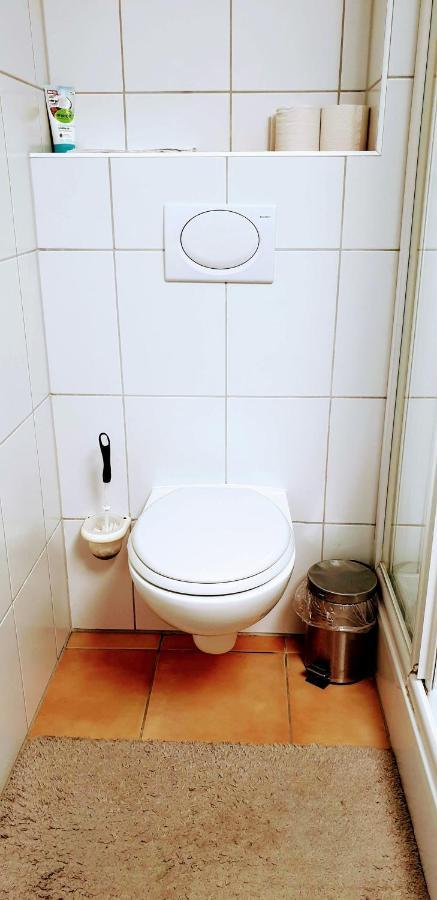 Séjour chez l'habitant Lichtdurchflutetes - Mainwiesen